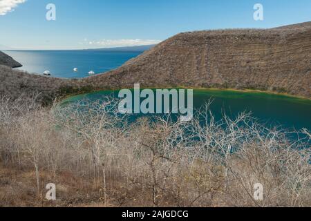 Darwin See und Tagus Cove auf die Insel Isabela, Galapagos, Ecuador. Stockfoto
