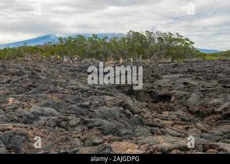 Touristen zu Fuß auf die vulkanische Landschaft bei Punta Moreno auf der Insel Isabela, Galapagos, Ecuador. Der Cerro Azul Vulkan im Hintergrund. Stockfoto