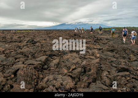 Touristen zu Fuß auf die vulkanische Landschaft bei Punta Moreno auf der Insel Isabela, Galapagos, Ecuador. Der Cerro Azul Vulkan im Hintergrund. Stockfoto