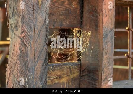 Spinnennetz auf ein Holzhaus, Hintergrund. Stockfoto