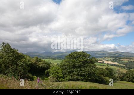 Bedeckt die Berge entlang das Tal von Conwy in die Berge von Snowdonia an einem Sommermorgen in der Nähe des Dorfes Eglwysbach Conwy in Wales Stockfoto