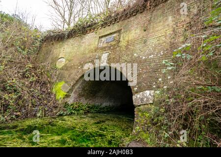 Greywell Tunnel auf der Basingstoke Canal, heute ein wichtiger Standort für überwinternden Fledermäuse, Hampshire, Großbritannien Stockfoto