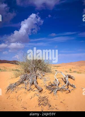Dubai. Schöne Wüstenlandschaft mit natürlichen, von Wind verwehten Sanddünen in der Nähe des Dorfes Al Dhaid am Straßenrand zwischen der Stadt Dubai und der ländlichen Festung Oasis Stadt Hatta Stockfoto