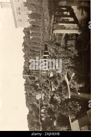 Amerikanische Häuser und Gärten. f Böden 382 Der Kult der Kaktus von S. Leonard Bastin 383 giftige Insekten von Rene Bache385 wie Weiche Käse werden von Jacques Boyer 388 Erneuerung der abgenutzten Böden 392 Dezember in das Fenster GardenThe Küche hilft zu Haus BuildingNew Bücher CO 00 kombinierte Rate für amerikanische Häuser und Gärten und Scientific American, 5,00 $ pro yearRate Bezugsrecht der amerikanischen Häusern und Gärten in das Ausland, $ 4,00 im Jahr veröffentlicht monatlich von Munn tV Firma, Büro des Scientific American, 361 Broadway, New York [Urheberrecht. 1906, von Munn 6c Company. Geben Sie Stockfoto