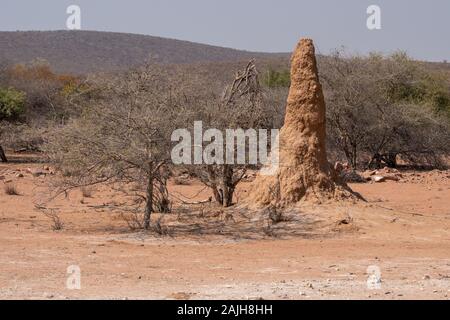 Termite Damm oder Termite Hill in der Savanne mit Bush und Sträucher im Kaokoveld, Namibia, Afrika Stockfoto