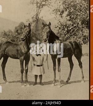 Züchter und Sportler. IATURDAY. März 9. 191^? o £?.. Preis 10 CENT ZÜCHTER ANZAHL^ DER ZÜCHTER UND SPORT M A N [ Samstag, 9. März 1912. WIMGMa Stockfoto