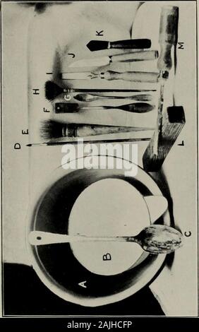 Modellierung; ein Leitfaden für Lehrer und Schüler. CALCANEUM Abb. 147.-Hind-Bein. Anterior Aspekt. Osteologie. Fibel: (i) Phalangen der externen Stelle, nachdem er eine Stärkung der Band aus Fessel. Extensor digitorum longus (anterior extensor der Ziffern) (o) der äußeren Oberfläche der inferiorextremity ot Femur: (i) teilt in der Region von Tarsus; der externe Sehne (gemeinsame Extensor ofthe zwei Ziffern) ist in den Phalangen der beiden Ziffern eingefügt wird, werden die internen Sehne (properextensor der internen Ziffer) in den Phalangen der internen Stelle, nachdem er eine Stärkung der bandfrom Fessel. TIBIALIS anticus ( Stockfoto