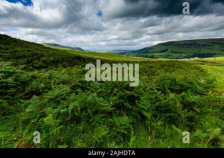 Landschaft in den schottischen Highlands Schottland Großbritannien Stockfoto