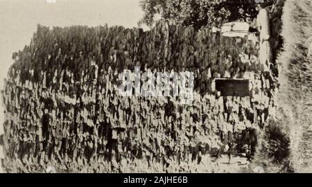 Ruinen der Wüste Cathay: persönliche Erzählung von Erkundungen in Zentralasien und westernmost China. Stockfoto