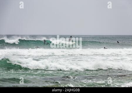 Arktis Surfer Surfen in der Norwegischen See. Unstad, Norwegischen Dorf auf der Lofoten. Norwegische Küste. Winter Wasser Sport. Uttakle Stockfoto