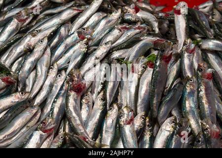 Frische Fische auf dem Markt, Kemeralti, Izmir, Türkei Stockfoto