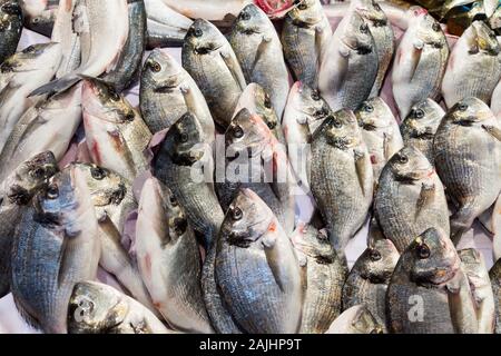 Frische Fische auf dem Markt, Kemeralti, Izmir, Türkei Stockfoto