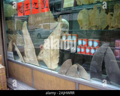 Shark Fin wird auf einem chinesischen Markt in Hongkong verkauft Stockfoto
