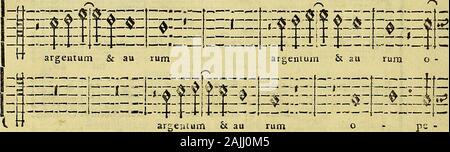 Esemplare, o Sia, Saggio fondamentale contrappunto pratico di Sopra Il Canto Fermo. = | E £ $.: $:? ifen Argentum&au rum. pe ra ma Nu um Ho Stockfoto