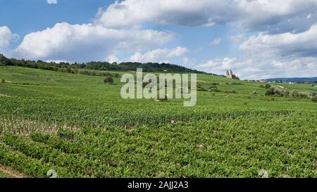 Riesling Weinberge, die vom Rhein bei Rüdesheim abschüssig sind, ein mittelalterlichen Dorf, das bei Touristen beliebt ist, vor allem Kreuzfahrtschiffe. Stockfoto