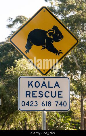 Ein Koala Rescue Schild auf einer Straße in der Nähe eines Koala Lebensraum an der Sunshine Coast in Queensland in Australien Stockfoto