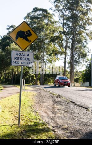 Ein Koala Rescue Schild auf einer Straße in der Nähe eines Koala Lebensraum an der Sunshine Coast in Queensland in Australien Stockfoto