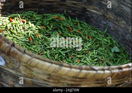 Chillies am Markt in Myanmar im Korb Stockfoto