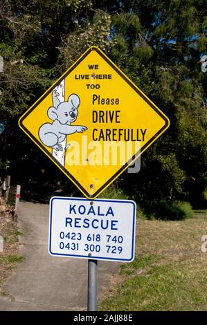 Ein Koala Rescue Schild auf einer Straße in der Nähe eines Koala Lebensraum an der Sunshine Coast in Queensland in Australien Stockfoto