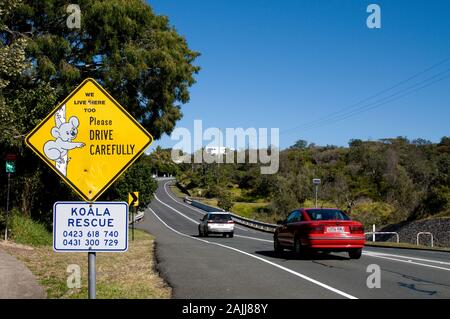 Ein Koala-Rettungsschild auf einer Straße in der Nähe eines Koala-Lebensraums an der Sunshine Coast in Queensland in Australien Stockfoto