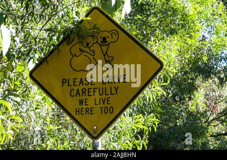 Ein Koala Rescue Schild auf einer Straße in der Nähe eines Koala Lebensraum an der Sunshine Coast in Queensland in Australien Stockfoto