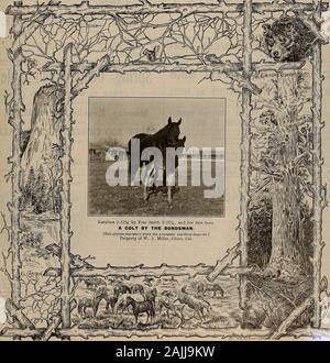 Züchter und Sportler. Band LX. Nr. 6. SAN FRANCISCO, Samstag, 10. Februar 1912. Abonnement -? 3,00 pro Yeai. Der Züchter und Sportler [Samstag, Februar 10,1912. $ 1600 garantiert. Stockfoto