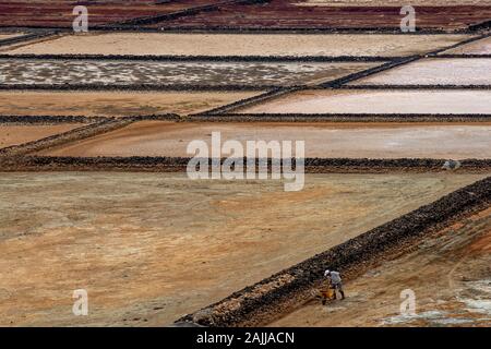 Die schöne Salinas de Janubio Salz Wohnungen in Lanzarote, Kanarische Inseln, Spanien Stockfoto