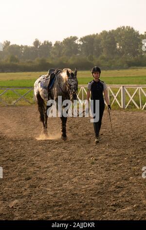 Schöne Mädchen Jockey stand neben ihr Pferd Tragen besonderer Uniform auf einen Himmel und grünen Feld Hintergrund auf einen Sonnenuntergang Stockfoto