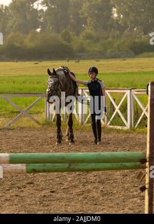 Schöne Mädchen Jockey stand neben ihr Pferd Tragen besonderer Uniform auf einen Himmel und grünen Feld Hintergrund auf einen Sonnenuntergang Stockfoto