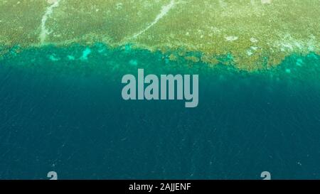 Blue Lagoon mit Korallenriff und türkisblauem Wasser mit philippinischen Boote, Luftbild. Moalboal, Philippinen. Sommer und Reisen Urlaub Konzept. Stockfoto