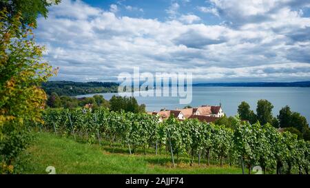 Schöne Landschaft der Weinberge mit dem Bodensee im Hintergrund in Süddeutschland, mit Blick auf die Schweiz und die Alpen. Stockfoto