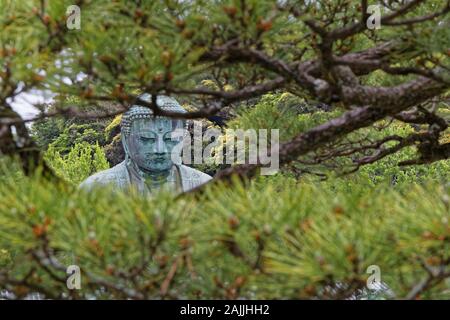 KAMAKURA, Japan, 13. Mai 2019: Kotoku-in. Der Tempel ist bekannt für seine Großen Buddha (daibutsu), eine monumentale outdoor Bronze Statue von Buddha, einen o bekannt Stockfoto