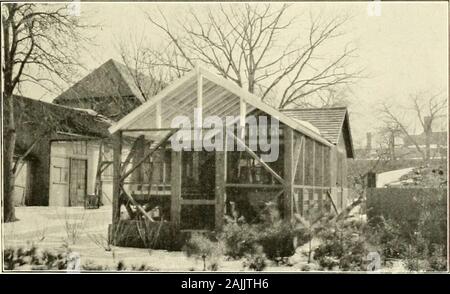 Bericht des Staates Entomologe von Connecticut für das Jahr.. . Feld am Bahnhof Farm, Mount Carmel insectary, zum Zeitpunkt der theEntomologists Feld treffen..b. Am Bahnhof. NEUE GERÄTE insectary vergrößert. Platte X. Stockfoto