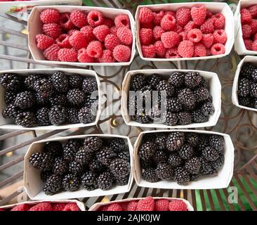 Nahaufnahme von Brombeeren und Himbeeren in Pint Containern auf einem Bauernmarkt in München Stockfoto