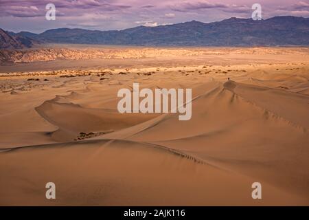 Einstrandelter Wanderer auf Mesquite Dunes im Death Valley Stockfoto
