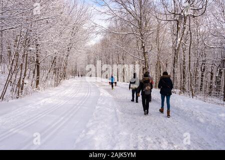 Montreal, CA - 01. Januar 2020: Menschen zu Fuß auf einem verschneiten Trail in Montreal's Mount Royal Park (Parc Du Mont-Royal) nach dem Schneesturm. Stockfoto