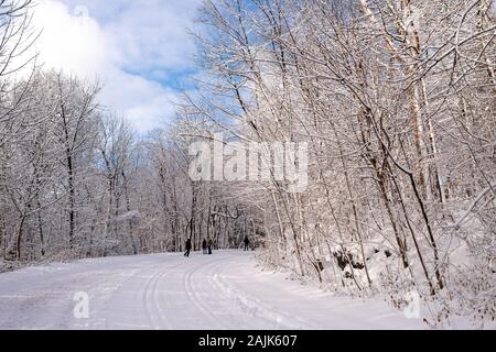 Montreal, CA - 01. Januar 2020: Menschen zu Fuß auf einem verschneiten Trail in Montreal's Mount Royal Park (Parc Du Mont-Royal) nach dem Schneesturm. Stockfoto