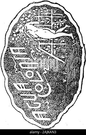 Boletín Oficial de la República Argentina 1911 1 ra sección. 28 de Noviembre 1911.- Droguería de laEstiella Ltda. - Perfumería de Allgemeine, Cla-se 58. v-7 November. Acta N. 35.222 iKC0N-MOS 27 de Noviembre 1911 - Henry Alexan-der Colé. - Correas de transmisión, Cla-se 22. v-7 November. Acta N. 35.199 tí>" - tunque vanuer, 27. de Noviembre 1911. - ANTONIO BIOS-Heijden.- Artíaulos de las clases 1 á 79 Ca. - Artículos de las clases 1 79 y lechería, Clase 80. Ich y lechería clase SO. Airí^hre y, v-7 November. 1. ,,. ¡ * -¡&Q "mbre. MARCAREGISTRADA^ INFALIBLE - KEINE MANCHA INODORA en í m Qaimico Fa Stockfoto