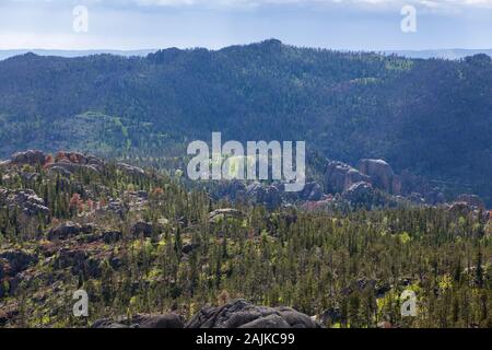 Auf der Suche von einem hohen Perspektive auf das felsige Tal und Nadeln Landstraße, die Winde durch Niedlicher State Park in South Dakota. Stockfoto