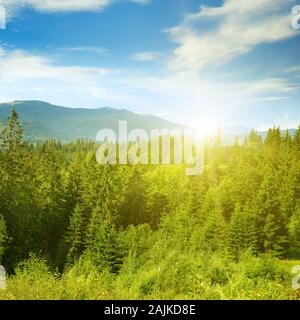 Sonnenuntergang im malerischen Berge. Karpaten im Sommer. Stockfoto