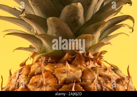 Ananas Obst in Makro Nahaufnahme. Tropische Ananas im Detail mit grünen Blättern vor gelbem Hintergrund. Stockfoto