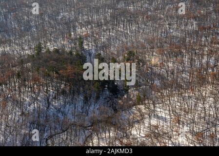 Luftaufnahme von parfrey's Glen State Natural Area, ländliche Sauk County, Wisconsin im Winter an einem bewölkten Tag. Stockfoto