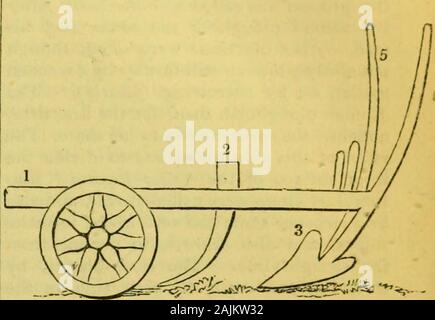 Schule Wörterbuch von Griechischen und Römischen Antiquitäten. Ist dii* Leistungsumfängen. Wenn es wahrscheinlich ist, dass die dentalia, der twoshare-Träger, waren in der Form der Greekletter ein, welche Virgil d, escribes durch duplicidorso, die Buris Henriksen gestiftet wurde der leftshare-beam und die stiva auf der rechten Seite befestigt, sothat der Pflug von Virgil war mehr likethe moderne Lancashire Pflug, die iscommonly hinter mit beiden Händen gehalten. Manchmal jedoch, die stiva wurde usedalone und statt des Buris Henriksen gestiftet oder Schwanz. Inplace Der stiva der Begriff sometimesemployed capulus ist. Die einzige andere Teil des Pfluges re-quiring Bekanntmachung ist die Coulter (culter), Stockfoto
