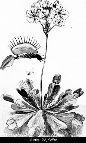 Den Ursprung und die Natur der Emotionen; verschiedene Papiere. t Neue Anpassungen des Mechanismus wird beevolved die neuen Bedingungen zu erfüllen. Ist nicht dieser Auffassung der mans Aktivitäten unendlich morewonderful, und unendlich viel mehr als verständlich ist, dass seine Aktivitäten theconception kann durch theexistence einer unbekannten, vmimaginable ausgewiesen werden müssen, und immaterielle forcecalled nnnd oder Seele? Wir haben bereits gezeigt, wie die Nervenzellen Mechanismus ist sowell Ada]) ted auf den innumeral:)] e Reize der Umwelt thatit kann genau übertragen und zwischen theinfinite Variationen der Geschwindigkeit im Äther unterscheiden Stockfoto