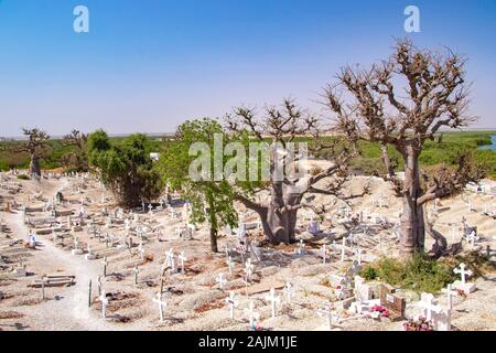 Joal-Fadiout, Senegal - April, 26, 2019: Baobab Bäumen auf dem christlichen Friedhof. Joal-Fadiouth Stadt und Kommune in der Region Thiès am Ende der Stockfoto