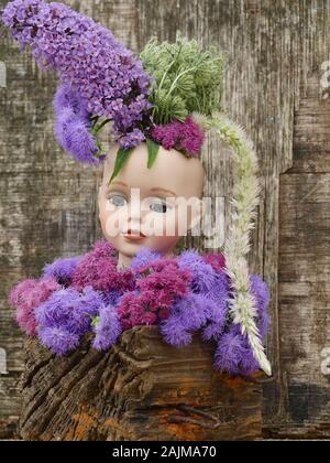 Puppenkopf mit Ageratum, flauschigen Lavendelblauen und rosafarbenen Pompomblumen, Buddleia, Daucus carota, Amaranthus Stockfoto