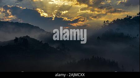 Sonnenuntergang im Bwindi Undurchdringlichen Nationalpark in Uganda. Stockfoto