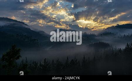 Sonnenuntergang im Bwindi Undurchdringlichen Nationalpark in Uganda. Stockfoto