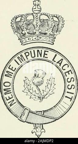 Die regimental Datensätze der Britischen Armee. ). Auch einen Adler, in Erinnerung an die Gefangennahme der Adler von der 105 französischen Regiment atWaterloo. Nickname. - Der vogelfänger (auch durch den Zweiten Dragonern und Änderung des Irischen Füsiliere getragen). Notizen - mit Ursprung in den Truppen des Pferdes in der Verteidigung von Tanger von 1662 bis 1684 engagiert, das erste königliche Dragoner haben seit in fast jedem Cam paign darstellte - mit auffälligen Tapferkeit. Unter den aufgenommenen Normen sind, einer von theMoors im Jahr 1664, die des Mousquetaires Noirs in der Schlacht bei Dettingen, Anda französischen Eagle (siehe oben) in der Schlacht o Stockfoto