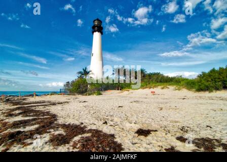 Der Leuchtturm am Bill Baggs State Park in der Nähe von Key Biscayne, Florida Stockfoto